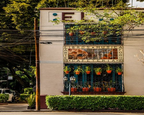 A clean, quiet shared workspace in Mexico City with natural window lighting and green plants
