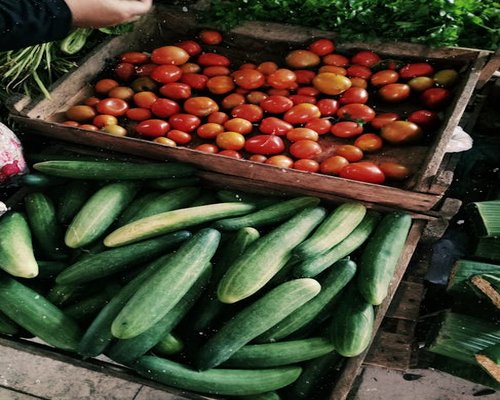 A colorful selection of freshly harvested avocados and tomatoes at a Mexican market stall