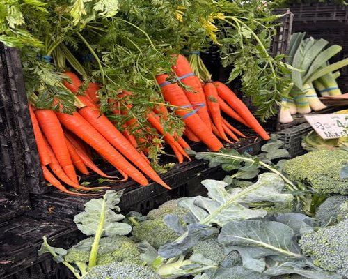 Crisp orange carrots bundled together at a local Mexican tianguis market stall